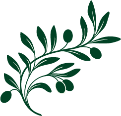 Olivebranch